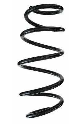 Fahrwerksfeder Vorderachse SPIDAN 85345