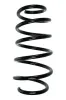 Fahrwerksfeder Vorderachse SPIDAN 85358