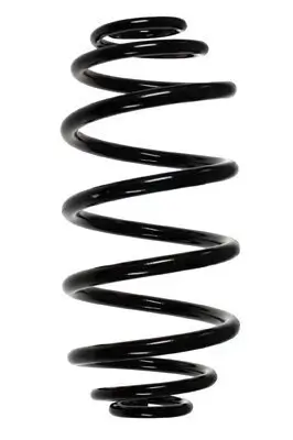 Fahrwerksfeder Hinterachse SPIDAN 85361