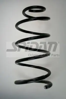Fahrwerksfeder Vorderachse SPIDAN 85366