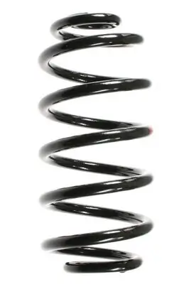 Fahrwerksfeder Hinterachse SPIDAN 85397