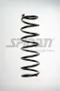 Fahrwerksfeder Vorderachse SPIDAN 85425