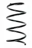 Fahrwerksfeder Vorderachse SPIDAN 85453