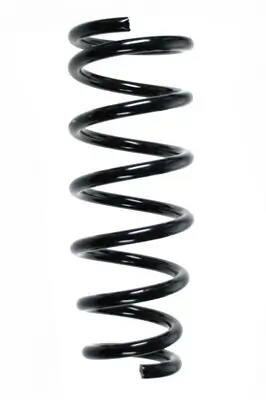 Fahrwerksfeder Hinterachse SPIDAN 85454