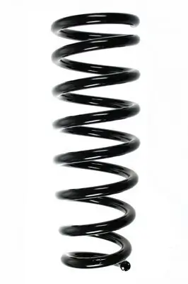 Fahrwerksfeder Hinterachse SPIDAN 85463