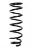 Fahrwerksfeder Hinterachse SPIDAN 85477