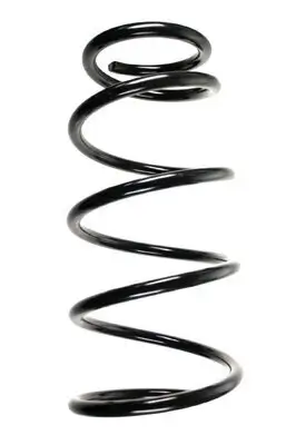 Fahrwerksfeder Vorderachse SPIDAN 85505