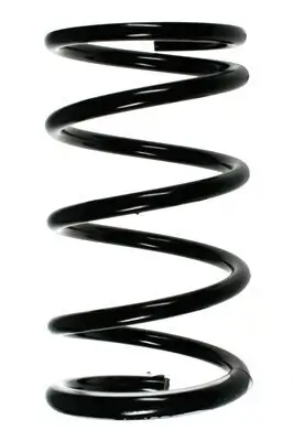 Fahrwerksfeder Hinterachse SPIDAN 85507