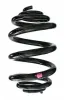 Fahrwerksfeder Hinterachse SPIDAN 85522