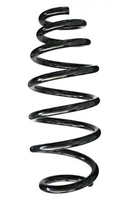 Fahrwerksfeder Vorderachse SPIDAN 85546