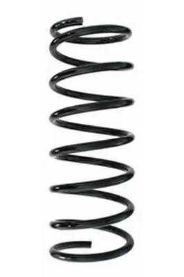 Fahrwerksfeder Hinterachse SPIDAN 85551