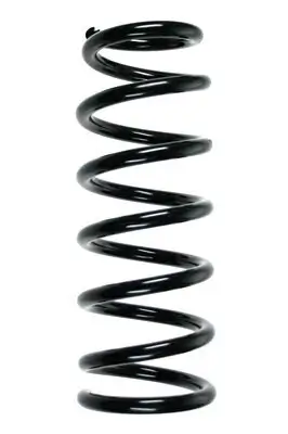 Fahrwerksfeder Hinterachse SPIDAN 85577