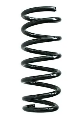 Fahrwerksfeder Hinterachse SPIDAN 85579