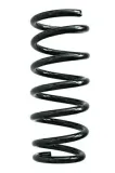 Fahrwerksfeder Hinterachse SPIDAN 85579