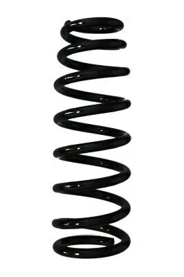 Fahrwerksfeder Hinterachse SPIDAN 85583