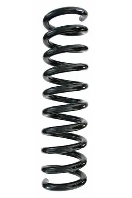 Fahrwerksfeder Hinterachse SPIDAN 85606