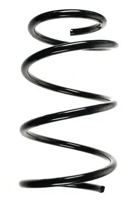 Fahrwerksfeder Vorderachse SPIDAN 85610