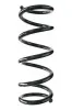 Fahrwerksfeder Hinterachse SPIDAN 85611