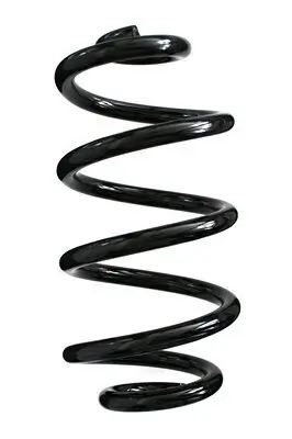 Fahrwerksfeder Hinterachse SPIDAN 85621