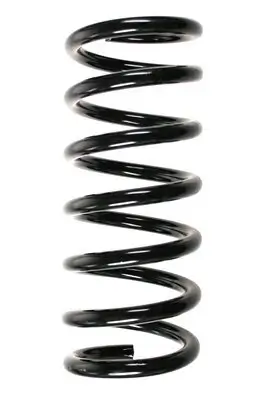 Fahrwerksfeder Hinterachse SPIDAN 85627