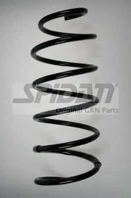 Fahrwerksfeder Vorderachse SPIDAN 85689