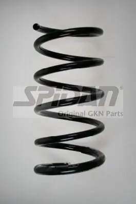 Fahrwerksfeder Hinterachse SPIDAN 85691