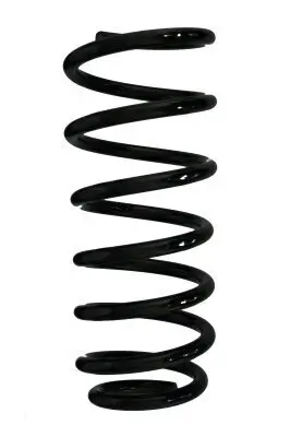 Fahrwerksfeder Hinterachse SPIDAN 85701