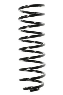 Fahrwerksfeder Hinterachse SPIDAN 85702