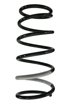 Fahrwerksfeder Vorderachse SPIDAN 85718