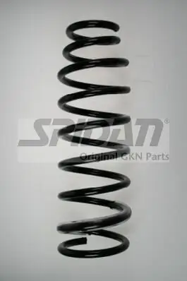Fahrwerksfeder Hinterachse SPIDAN 85719