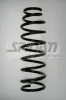 Fahrwerksfeder Hinterachse SPIDAN 85719