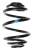 Fahrwerksfeder Hinterachse SPIDAN 85720