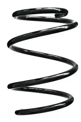 Fahrwerksfeder Vorderachse SPIDAN 85730 Bild Fahrwerksfeder Vorderachse SPIDAN 85730