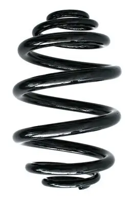 Fahrwerksfeder Hinterachse SPIDAN 85735