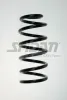Fahrwerksfeder Hinterachse SPIDAN 85737