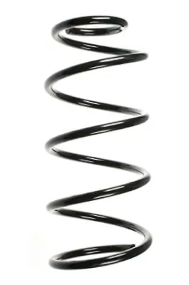 Fahrwerksfeder Vorderachse SPIDAN 85763