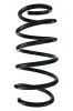 Fahrwerksfeder Vorderachse SPIDAN 85774