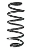 Fahrwerksfeder Hinterachse SPIDAN 85781