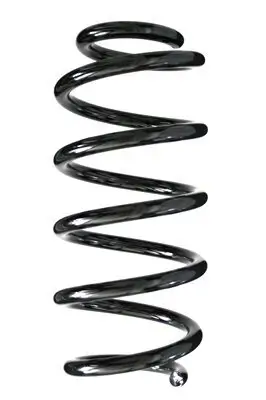 Fahrwerksfeder Hinterachse SPIDAN 85788