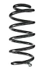 Fahrwerksfeder Hinterachse SPIDAN 85788