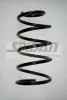 Fahrwerksfeder Vorderachse SPIDAN 85798