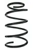 Fahrwerksfeder Vorderachse SPIDAN 85806