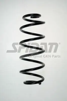 Fahrwerksfeder Hinterachse SPIDAN 85815