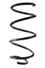 Fahrwerksfeder Vorderachse SPIDAN 85833
