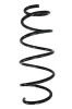 Fahrwerksfeder Vorderachse SPIDAN 85851