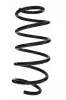 Fahrwerksfeder Vorderachse SPIDAN 85862