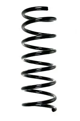 Fahrwerksfeder Hinterachse SPIDAN 85872