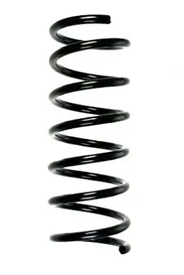 Fahrwerksfeder Hinterachse SPIDAN 85875