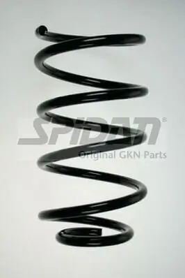 Fahrwerksfeder Vorderachse SPIDAN 85876 Bild Fahrwerksfeder Vorderachse SPIDAN 85876