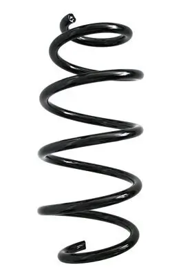 Fahrwerksfeder Vorderachse SPIDAN 85892
